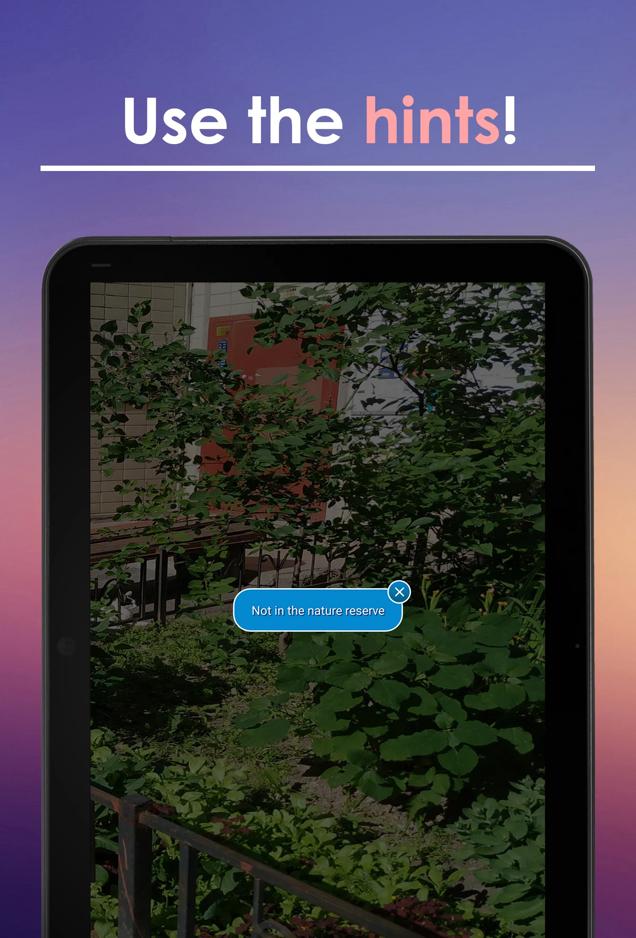 Find a Cat screenshot