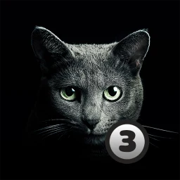 Icône de Trouver Cat 3